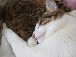 c0103205_16121392.jpg