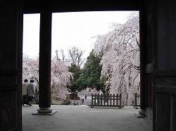 f0127408_21404032.jpg