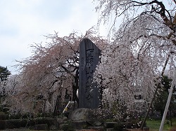 f0127408_2140621.jpg