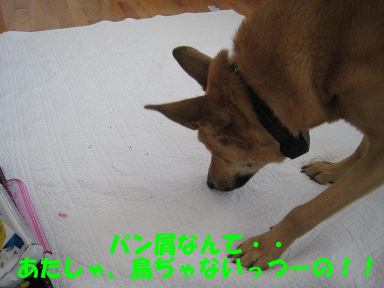 c0079011_11143421.jpg