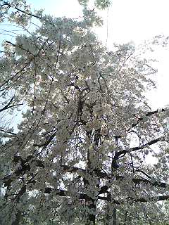 f0158313_23301932.jpg