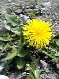 f0053615_0562914.jpg