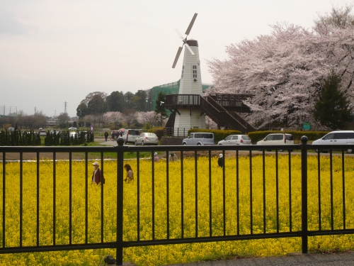 f0128821_2235282.jpg