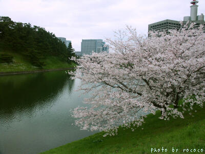 a0013423_1646239.jpg