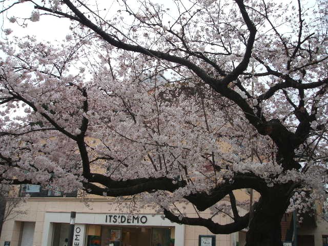 b0052523_23182163.jpg