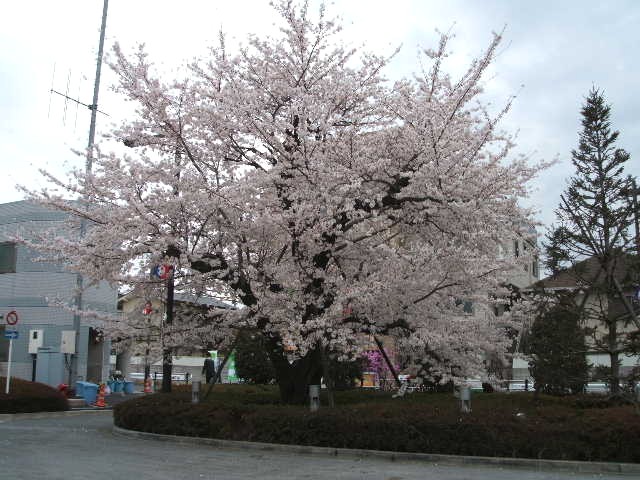 b0052523_23183339.jpg