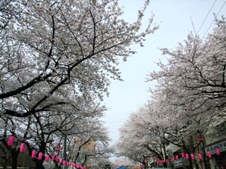 b0027524_21114581.jpg