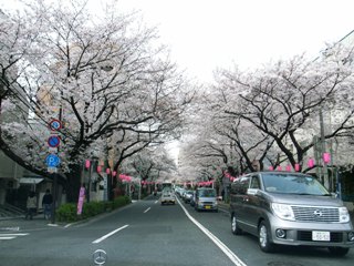 b0027524_2114355.jpg