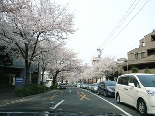 b0027524_21144747.jpg