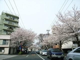 b0027524_21145715.jpg
