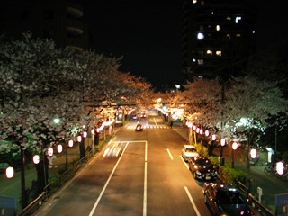 b0027524_21174617.jpg