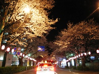 b0027524_21181733.jpg