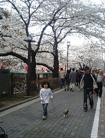 f0022024_168233.jpg