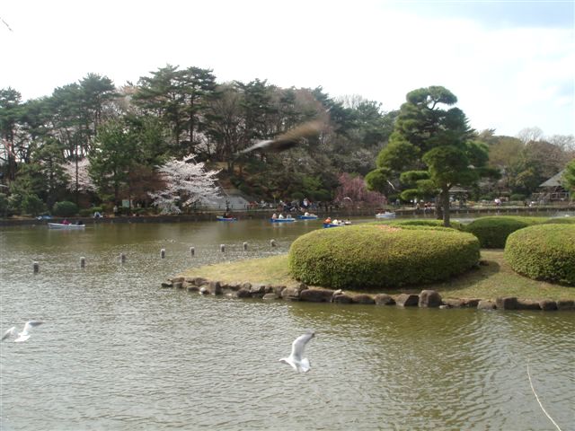 b0102728_1064996.jpg