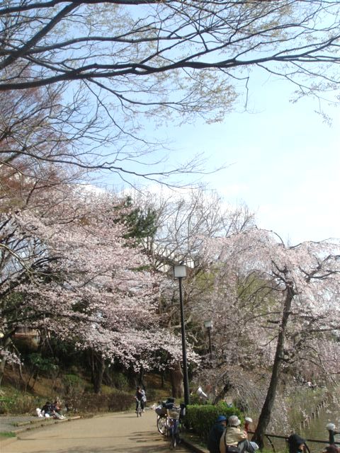 b0102728_109386.jpg