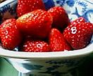 c0051529_1335070.jpg