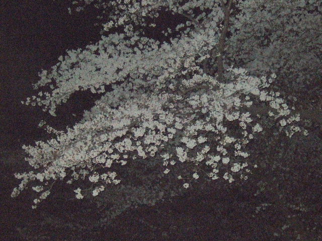 e0064133_23222613.jpg
