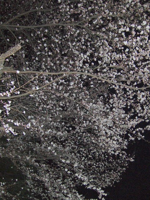 e0064133_23231170.jpg