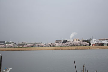 c0039736_1915475.jpg