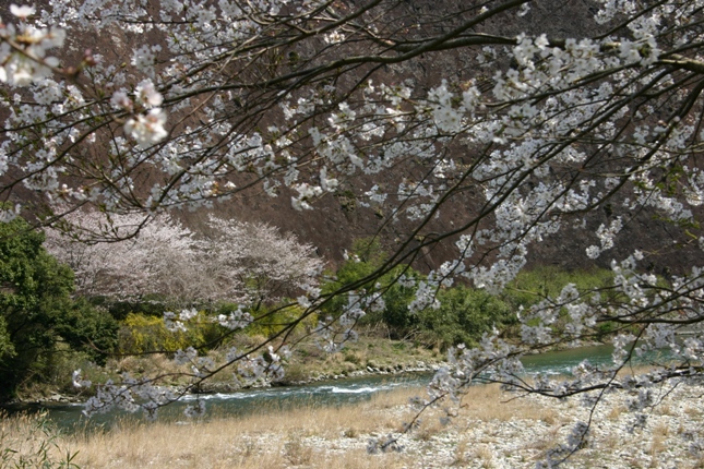 e0083238_19291290.jpg