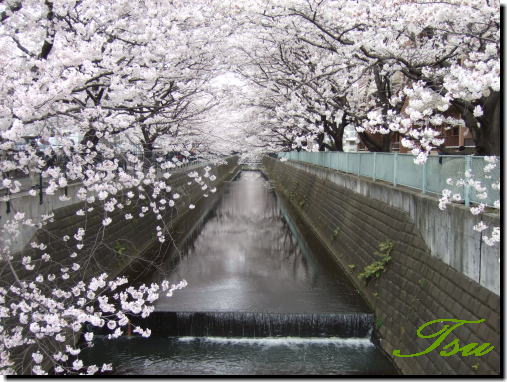 麻生川4