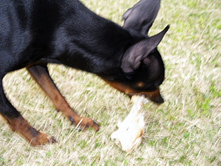 c0123149_18234972.jpg