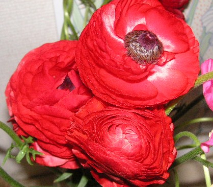 f0082855_2337446.jpg