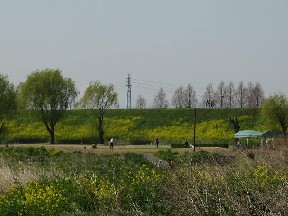 d0034659_21232079.jpg