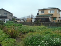 c0108460_1556333.jpg