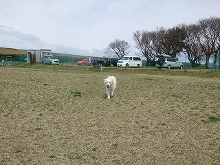 a0104162_16322288.jpg