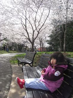 a0072371_1312218.jpg