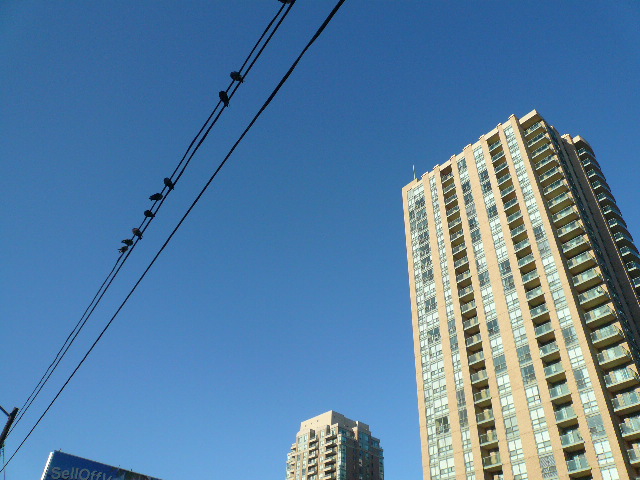 a0100975_1225142.jpg