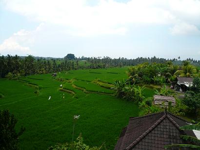 c0126976_2353537.jpg