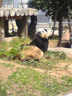 f0124177_23252149.jpg