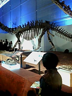 d0152578_17514076.jpg