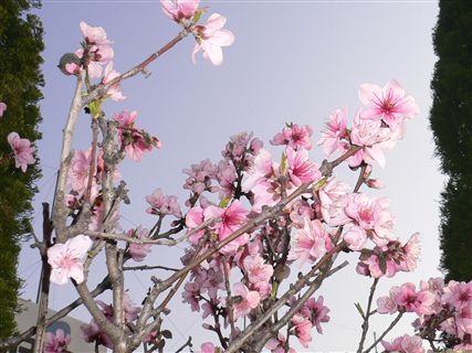 f0001378_1482915.jpg