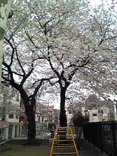 b0013080_18243.jpg
