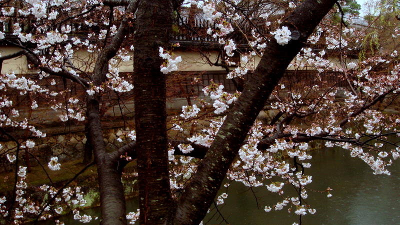 a0105281_21295342.jpg