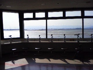 f0001781_141408.jpg