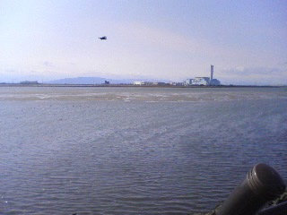 f0001781_1425858.jpg