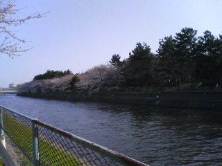 f0001781_14302285.jpg