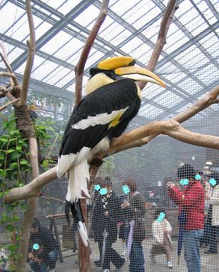 e0140086_20471964.jpg