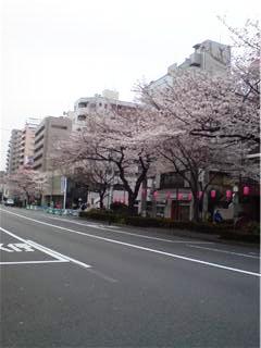 c0012888_23153456.jpg