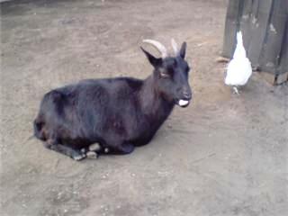 c0012888_23293978.jpg