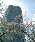 c0072589_10342063.jpg