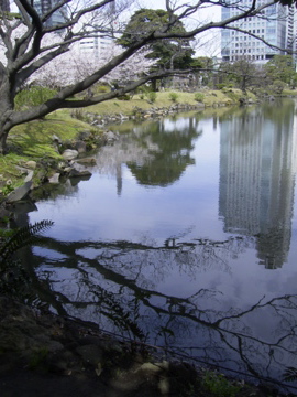 c0002390_10571052.jpg