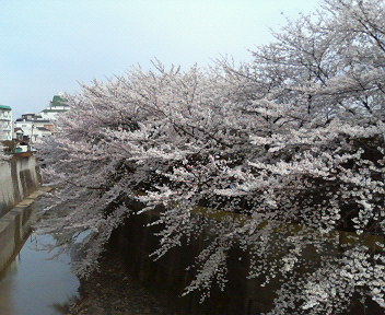 f0018790_2152621.jpg