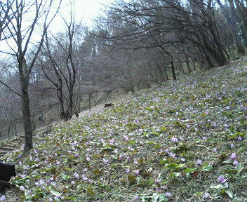 f0018790_225451.jpg