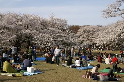 f0064192_9163846.jpg