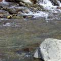b0099994_16445356.jpg